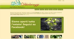 Desktop Screenshot of ortobiobroggini.it