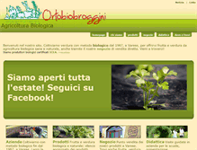 Tablet Screenshot of ortobiobroggini.it